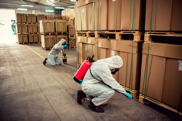 Best Pest Control Treatment  in Greene, IA