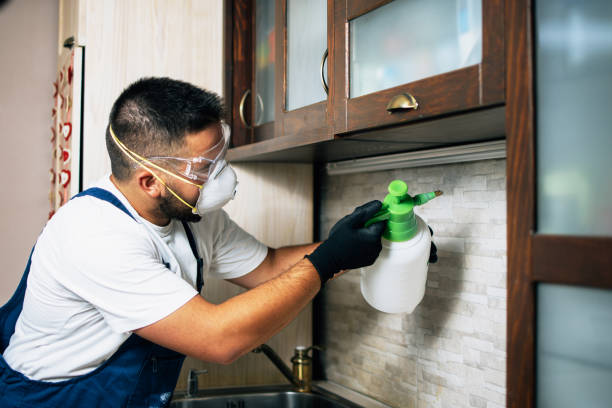 Best Affordable Pest Control Services  in Greene, IA