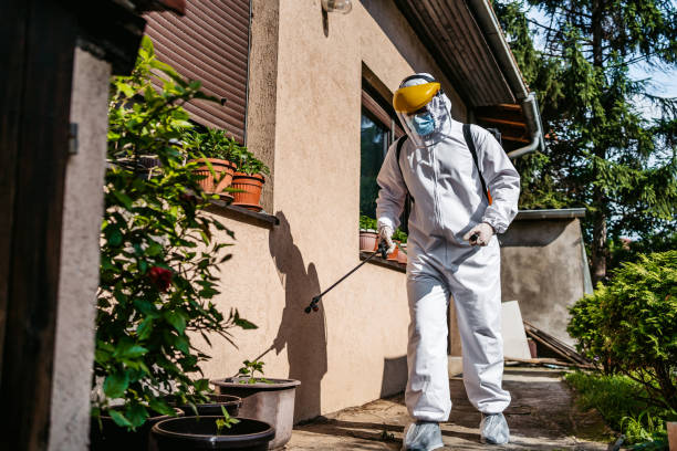 Professional Pest Control in Greene, IA