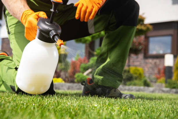 Best Termite Control Services  in Greene, IA