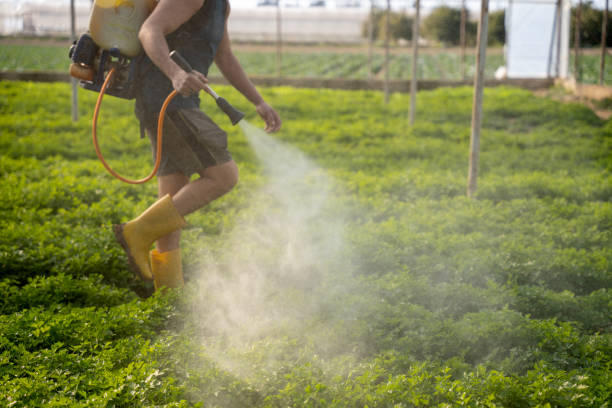 Best Pest Inspection Near Me  in Greene, IA