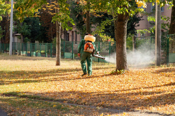 Best Flea Control Services  in Greene, IA