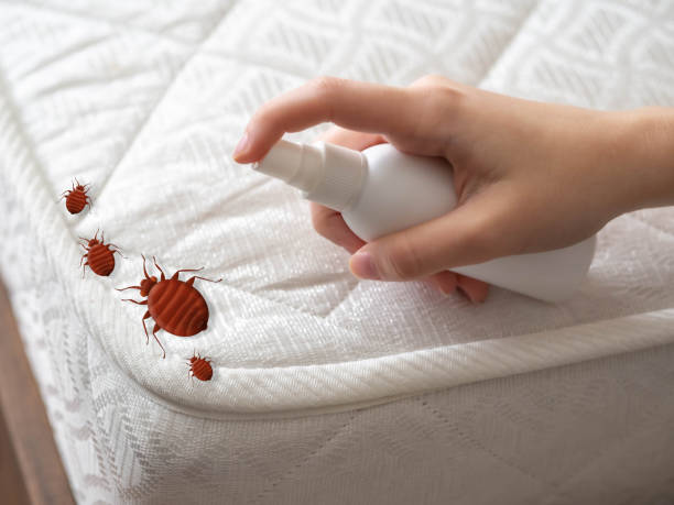 Best Pest Prevention Services  in Greene, IA