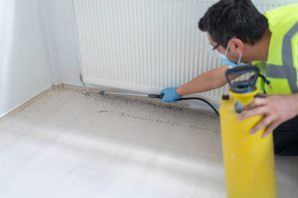 Best Bed Bug Extermination  in Greene, IA