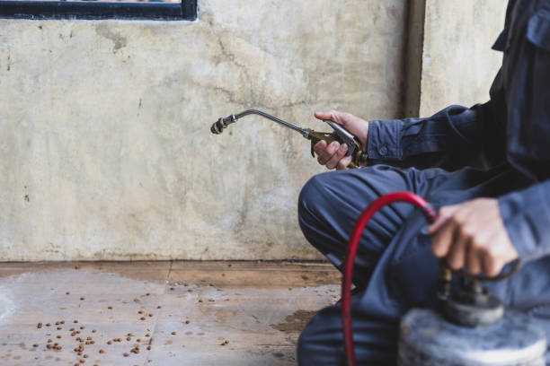 Pest Control Cost in Greene, IA